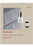 The Silver Box